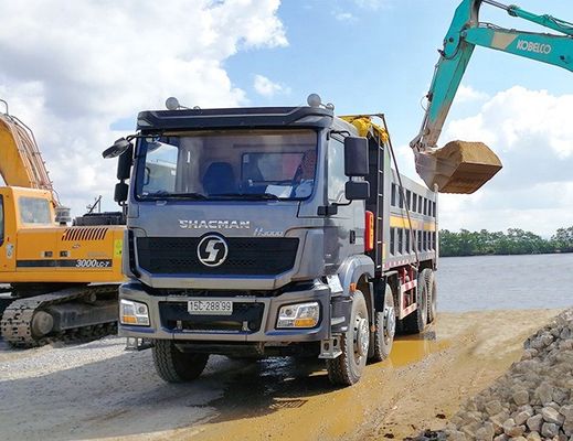 Shacman Dongfeng Sinotruck 6X4 Pickup pesante 8X4 Euro 3 12 pneumatici