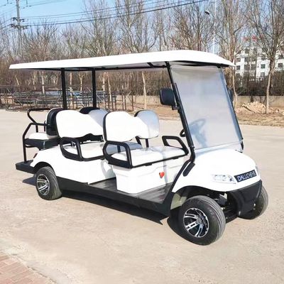 Azionamento a sinistra Golf elettrico Buggy a batteria al litio Golf cart 2-10 posti