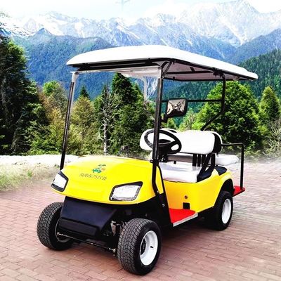 Azionamento a sinistra Golf elettrico Buggy a batteria al litio Golf cart 2-10 posti