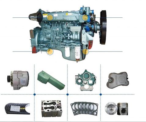 Shaanxi Shacman Truck Spare Parts Fast Gearbox Transmission Drive Gear 18869 Fabbrica originale
